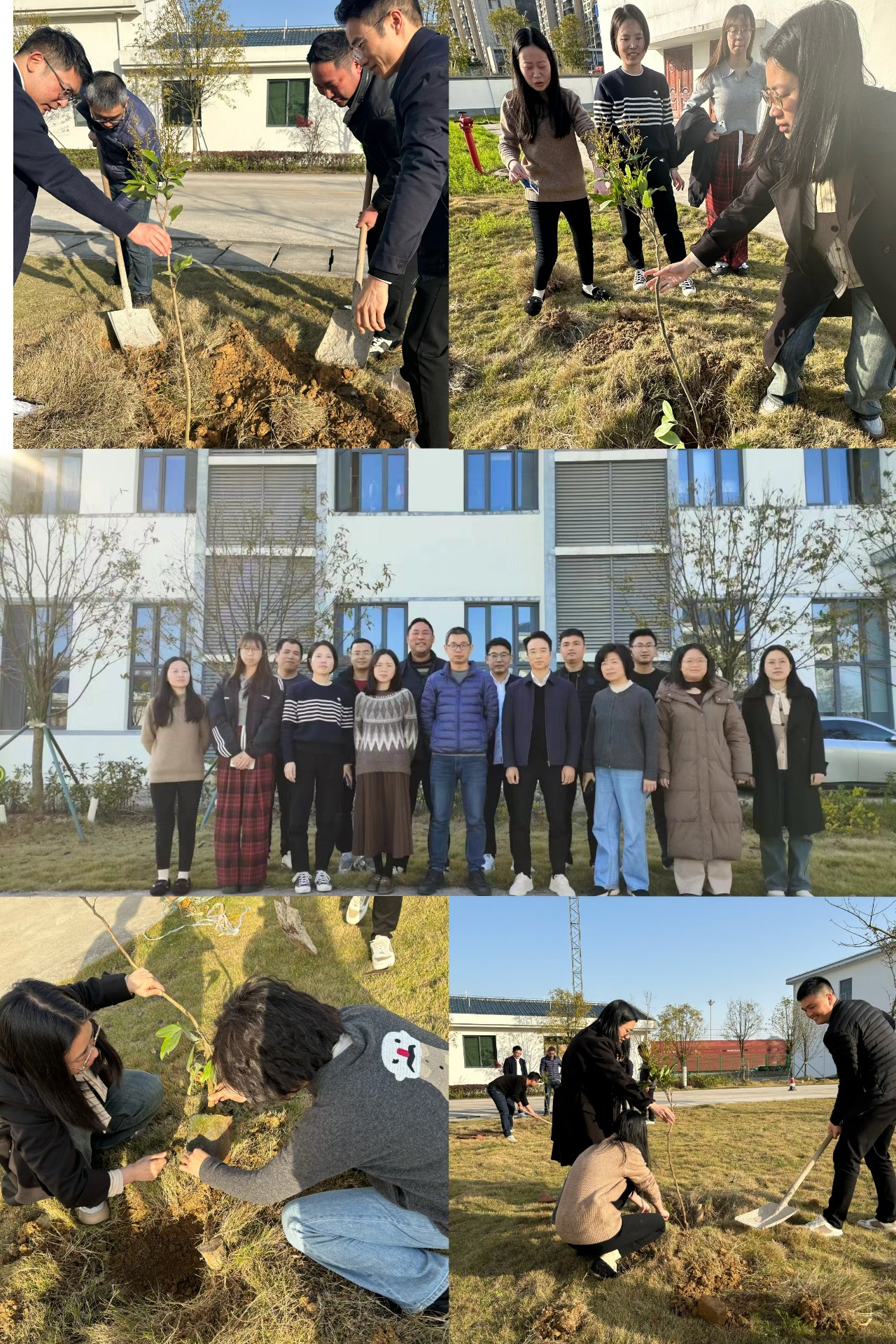 2024-3-12綠色陸港，美麗寧德，阮克妙拍攝.jpg